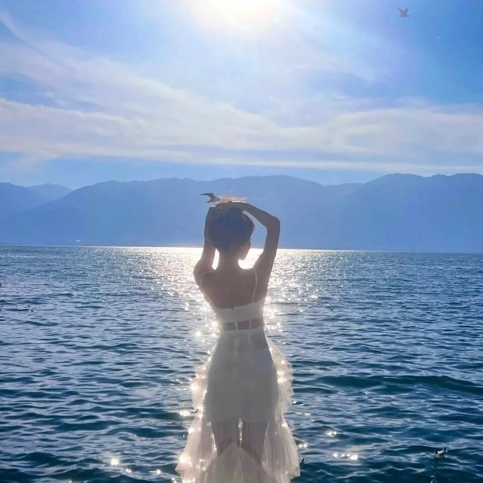 金鱼俱乐部 海报